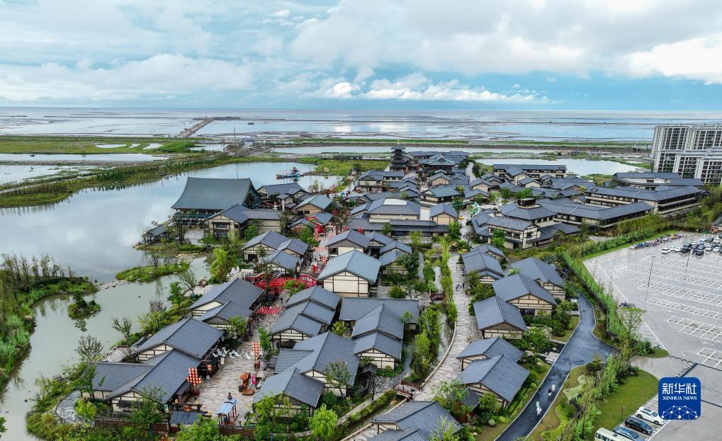 彩金免费送